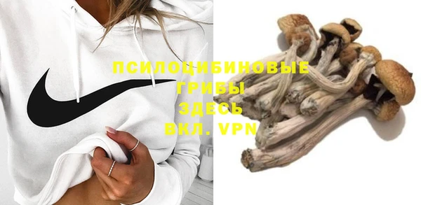 стаф Богородск