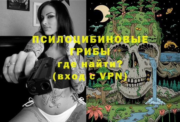 соль курить ск Богданович