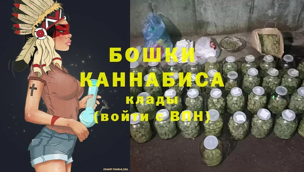 стаф Богородск