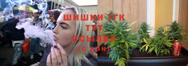 гидропоника Медногорск